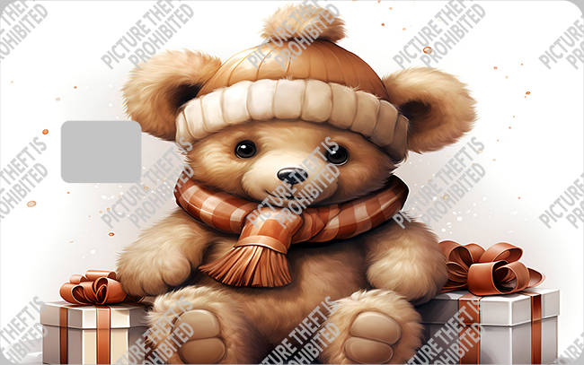 Bank  Card Sticker-BC-2605